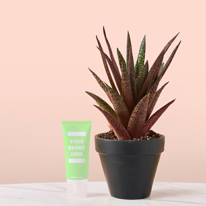 Beauty Moisturiser Bottle PSD Mockup