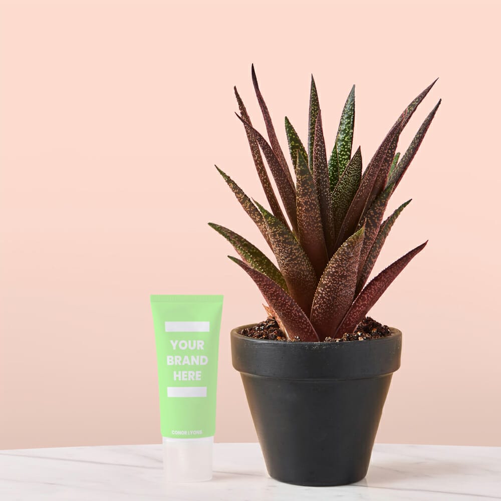 Beauty Moisturiser Bottle PSD Mockup