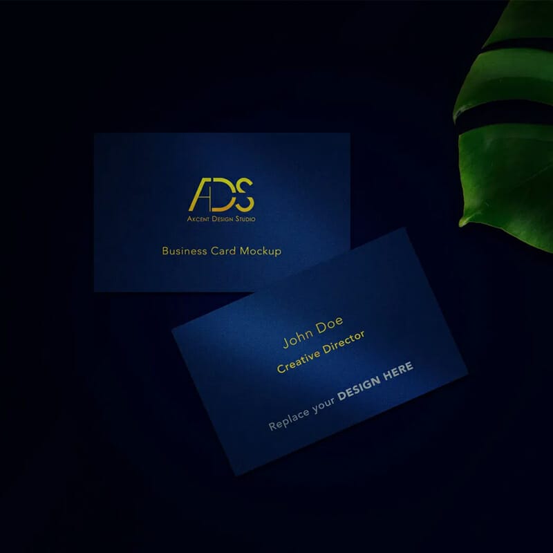 Blue Tone Business Card Mockup