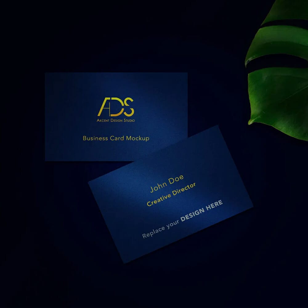 Blue Tone Business Card Mockup
