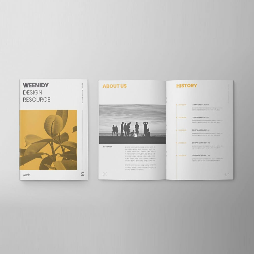 Brand Brochure Mockup PSD
