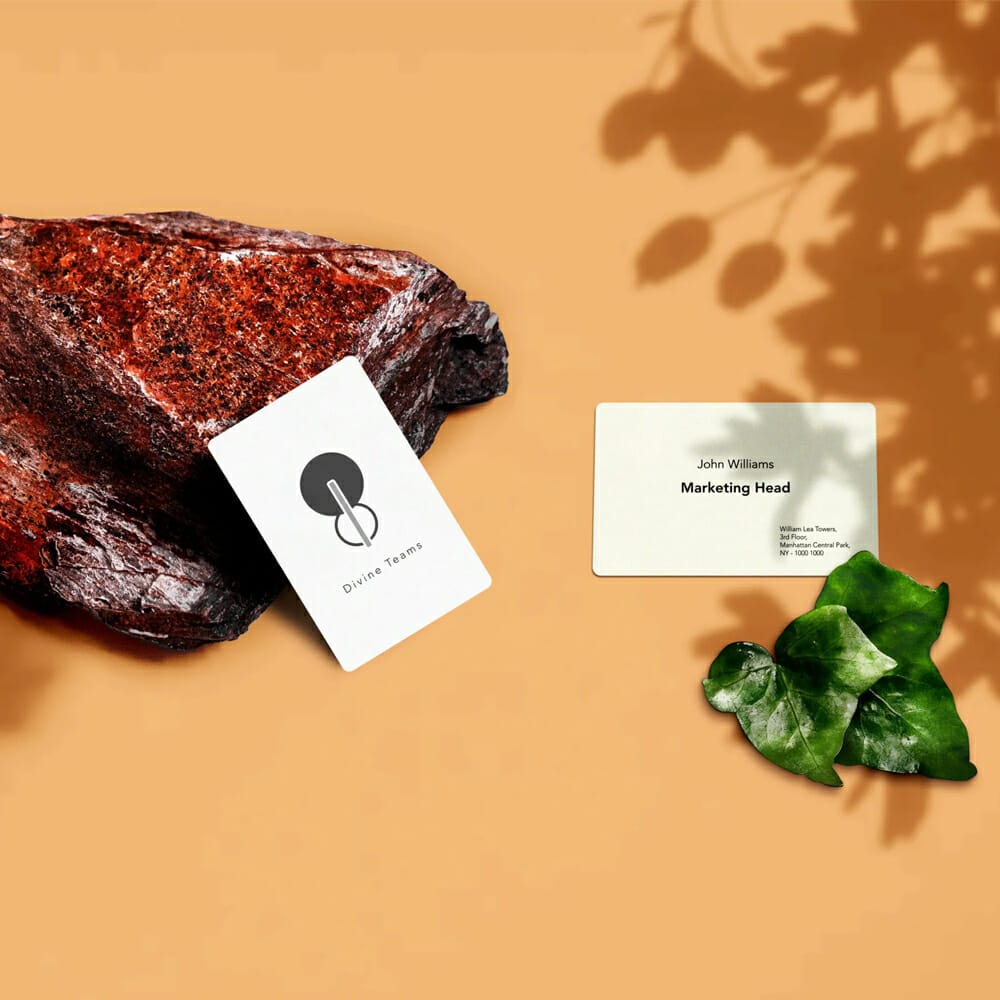 Organic Business Card Mockup