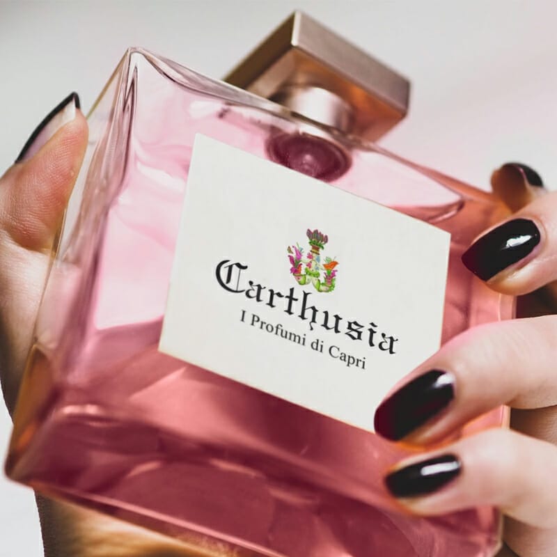 Free Perfume Bottle Mockup