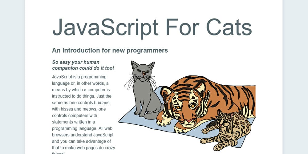 JavaScript For Cats