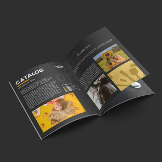 catalog-archives-css-author