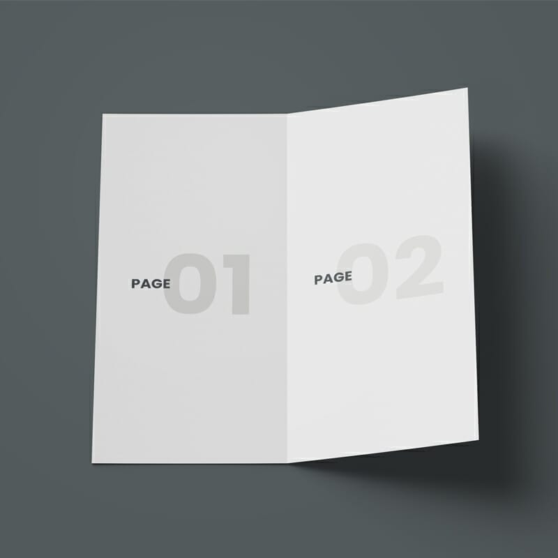 Open DL Bi-Fold Brochure Free Mockup