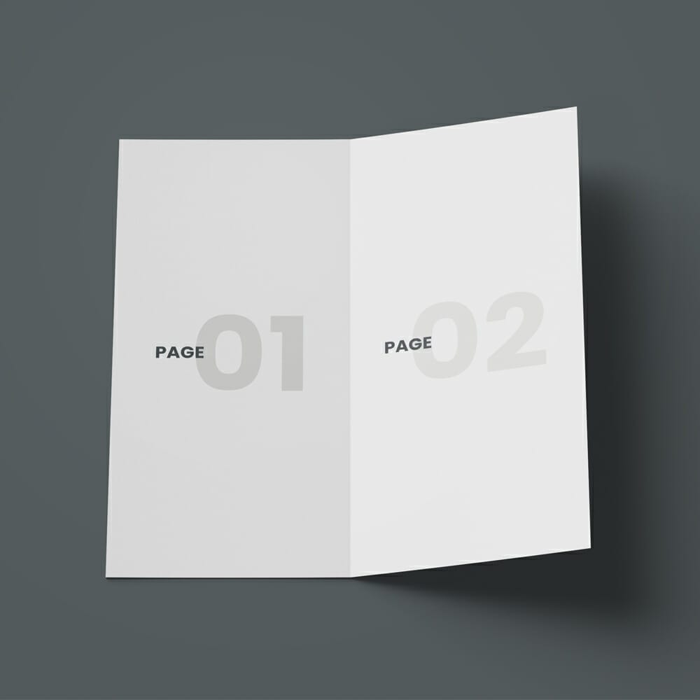 Open DL Bi-Fold Brochure Free Mockup