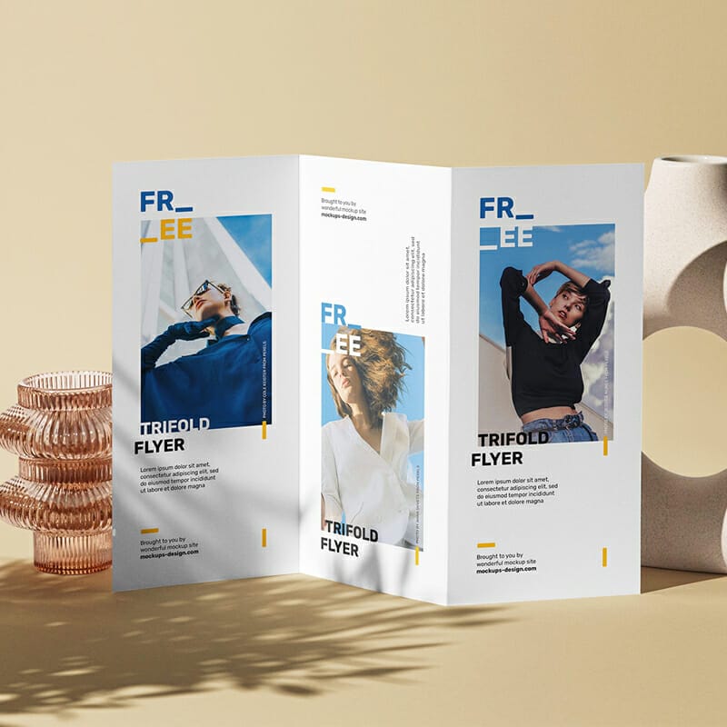 Tri-Fold DL Flyer Scene Mockup