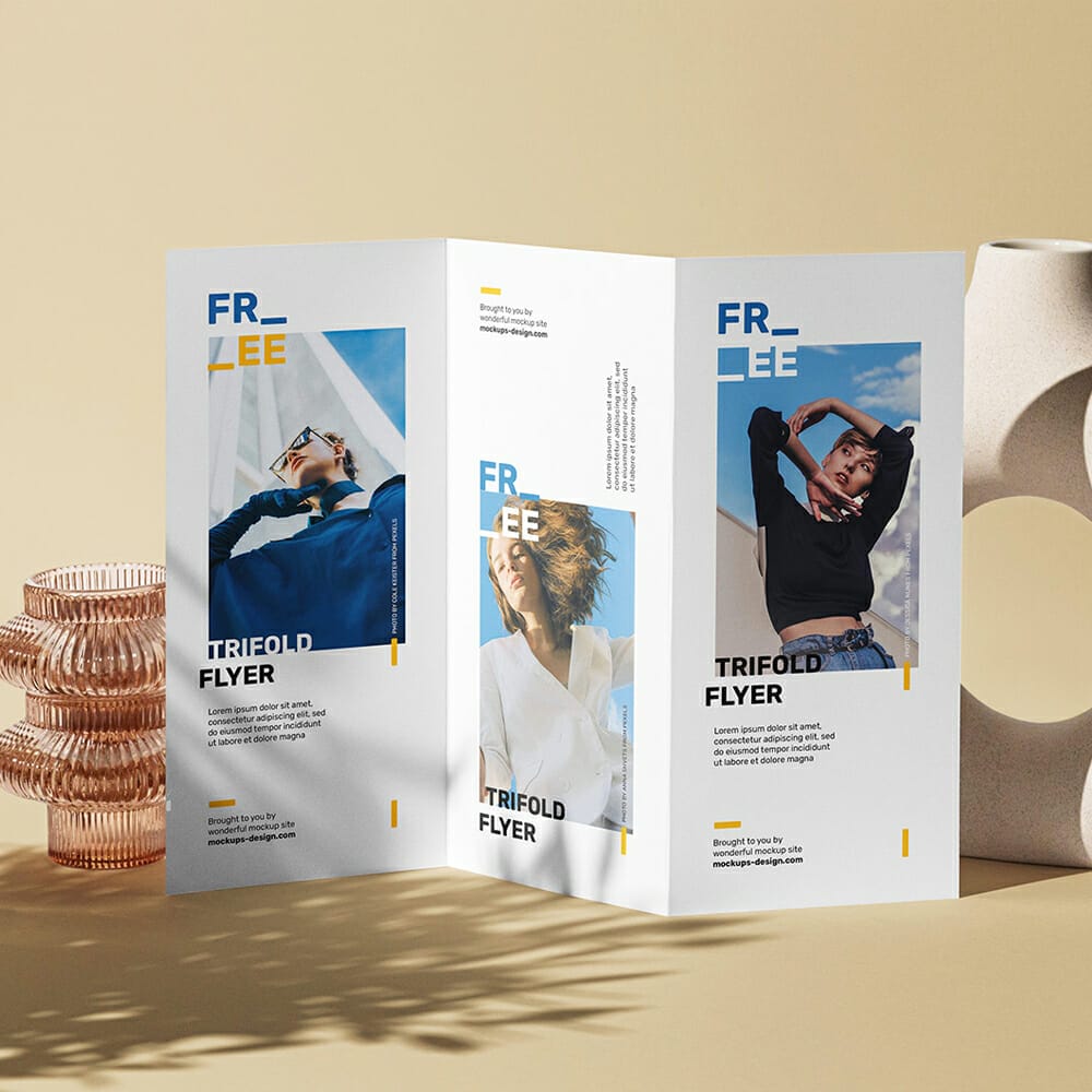 Tri-Fold DL Flyer Scene Mockup