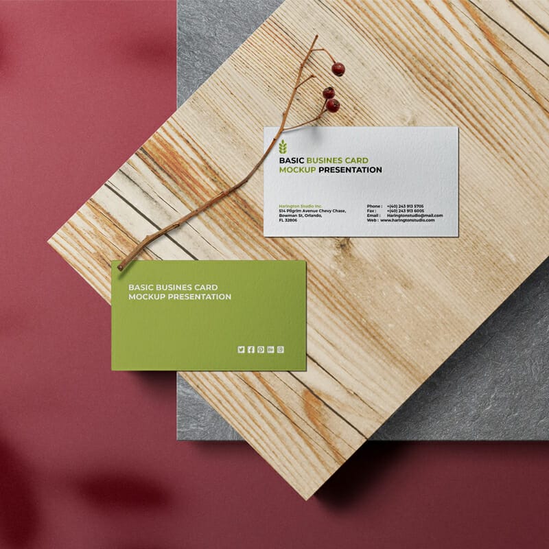 Business Card Mockup Set
