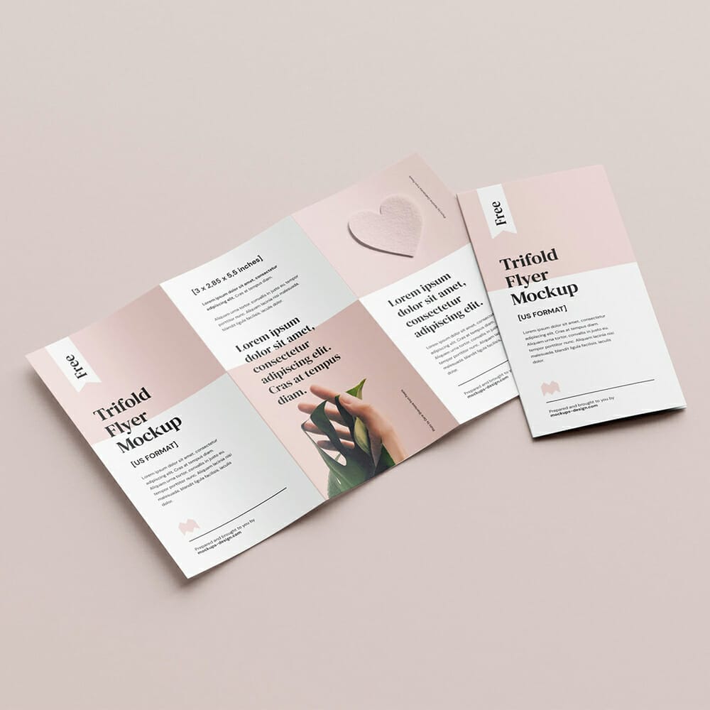 Free 2,85x5,5 In Flyer Mockup