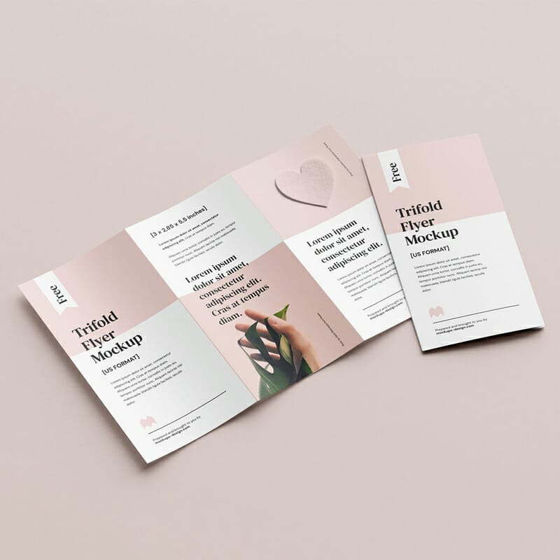 Free 2,85x5,5 In Flyer Mockup