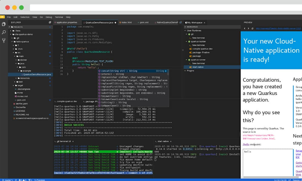 Eclipse IDE