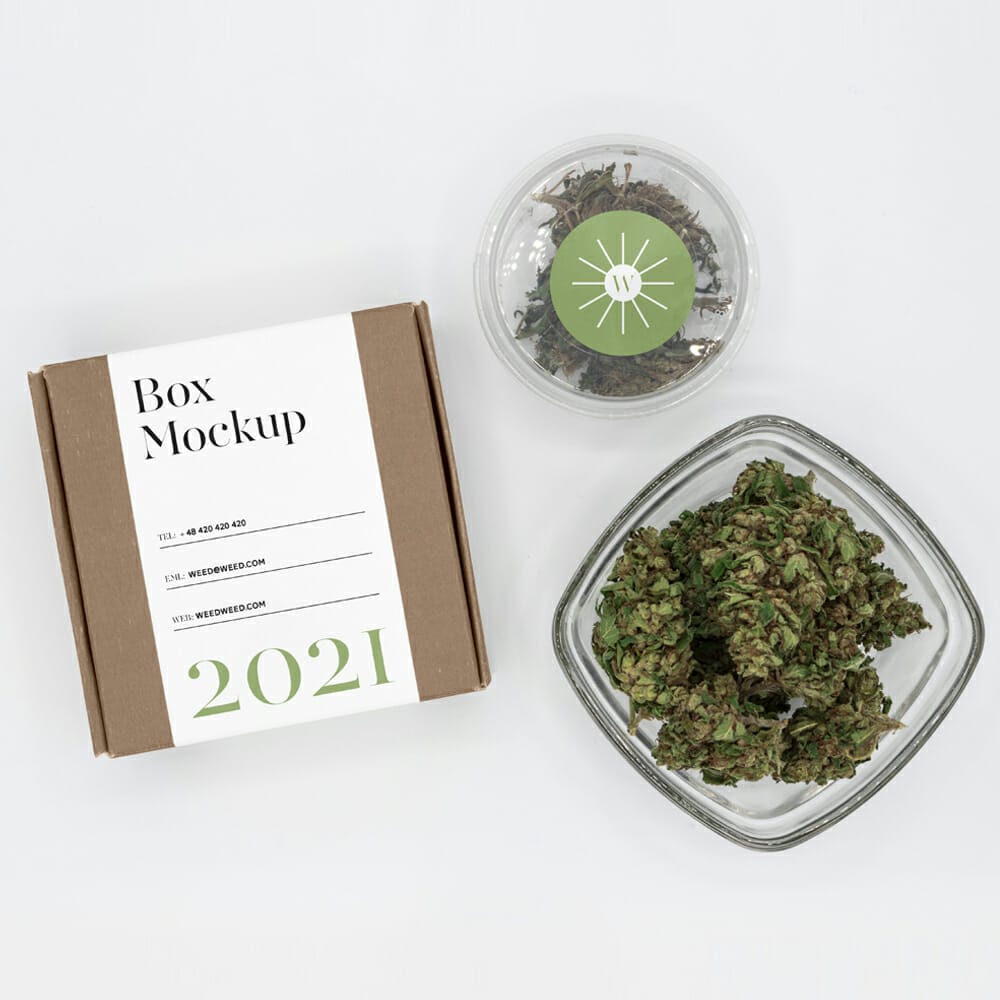 Gift Package Set Mockup