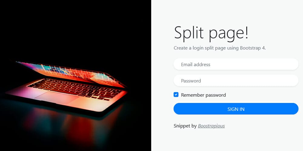 Login Split Page