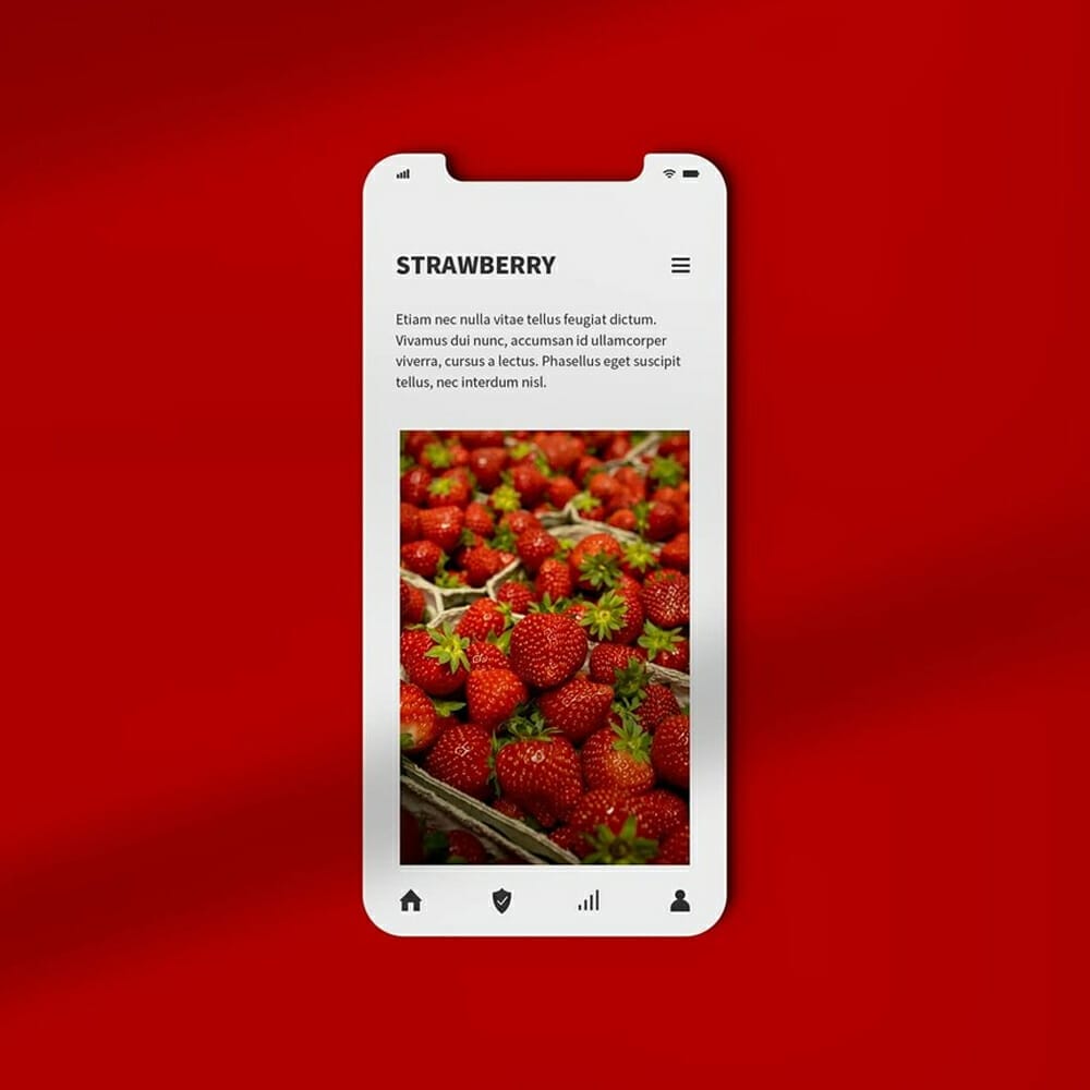 Smartphone Display Mockup