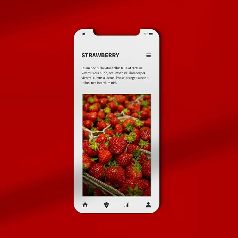 Smartphone Display Mockup