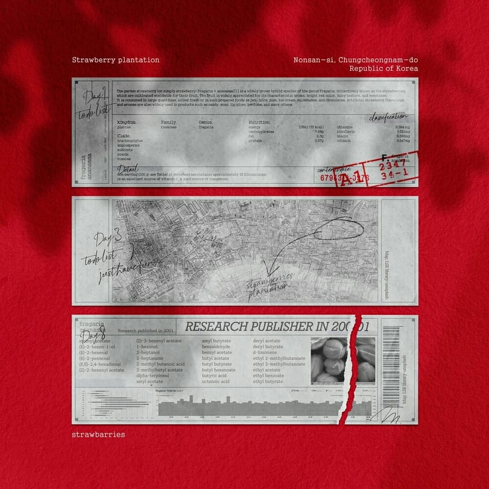 Ticket & Poster Mockup