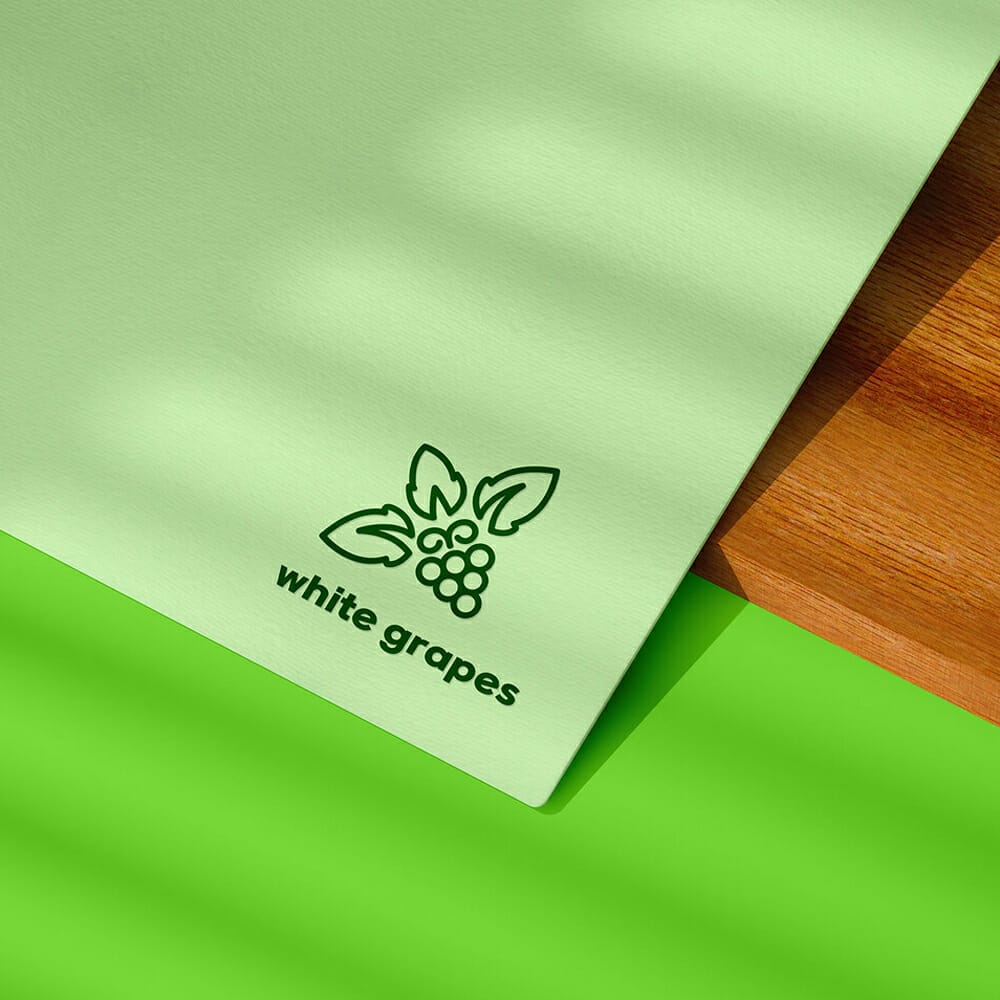 Logo Mockup PSD Template