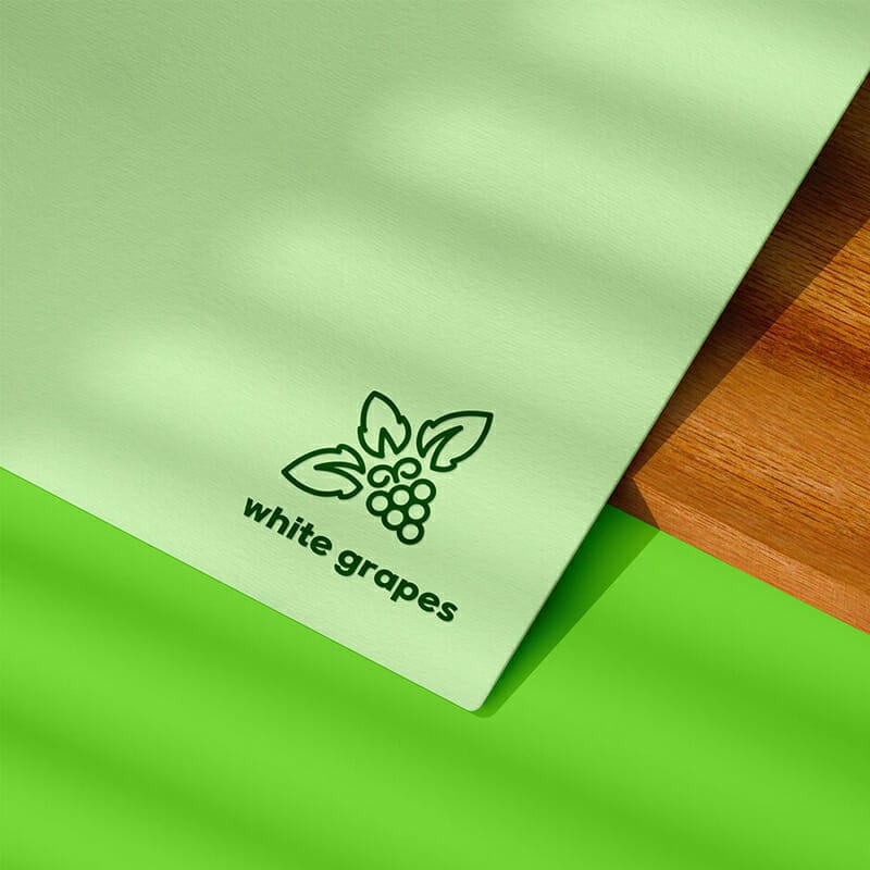 Logo Mockup PSD Template