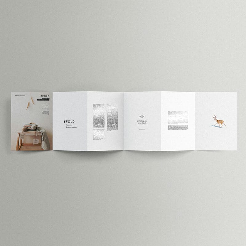 6 Fold Accordion Brochure Mockup