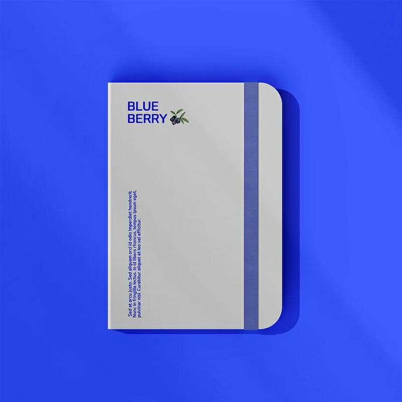 Free Note Mockup PSD