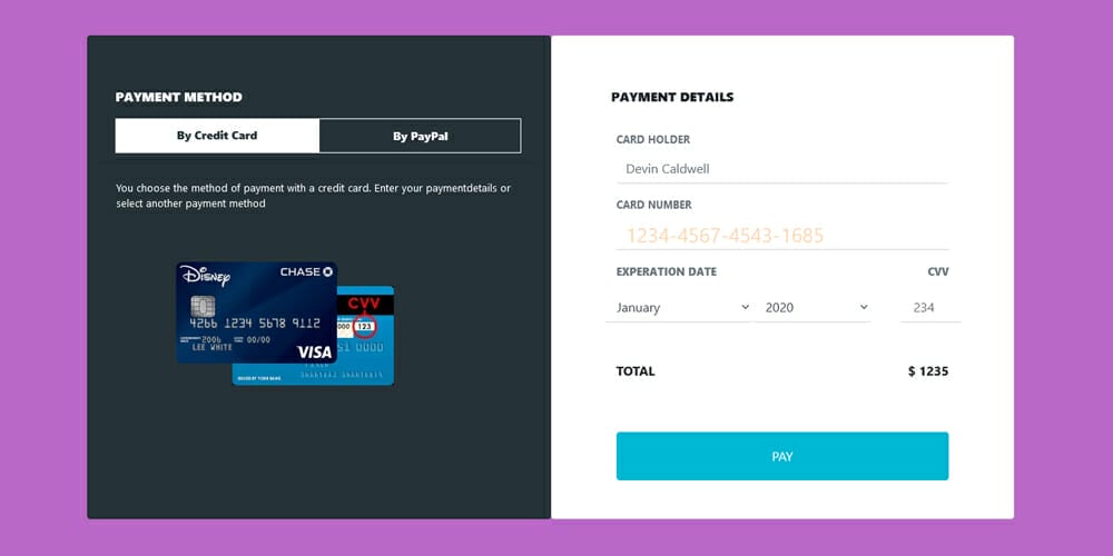 Payment form with icon