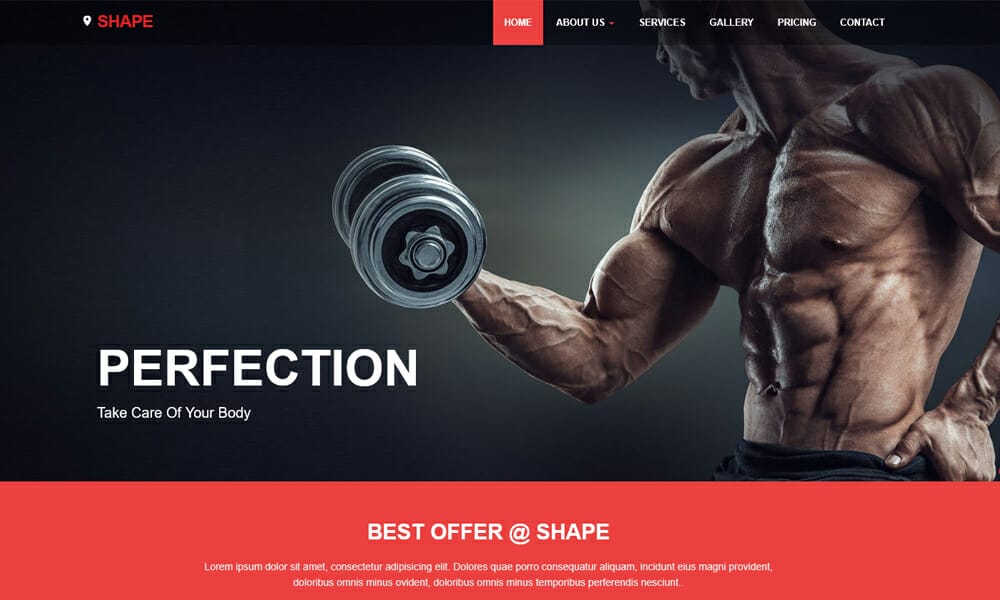 Shape Free Fitness Website Template