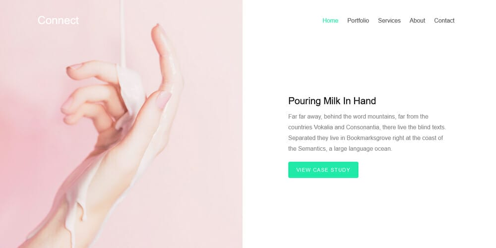 Free Bootstrap Portfolio Templates 11 Connect