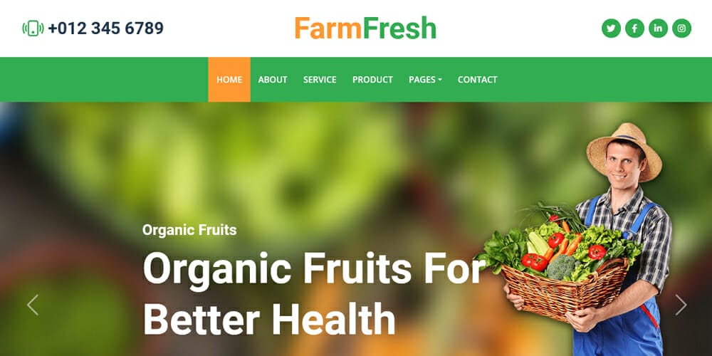 Top Free Grocery Store Bootstrap Templates 21 FarmFresh Organic Farm Web Template