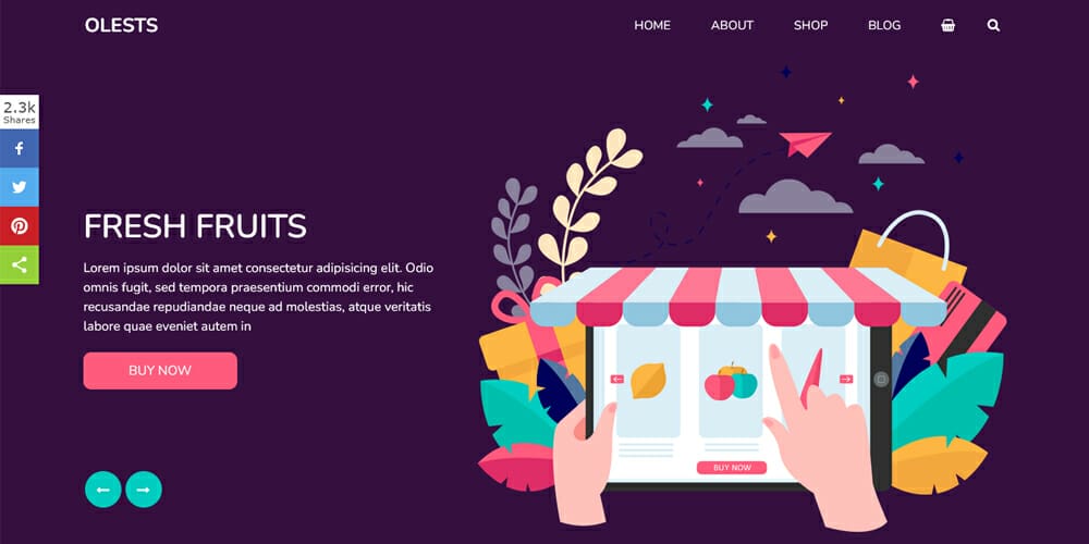Top Free Grocery Store Bootstrap Templates 24 Olests