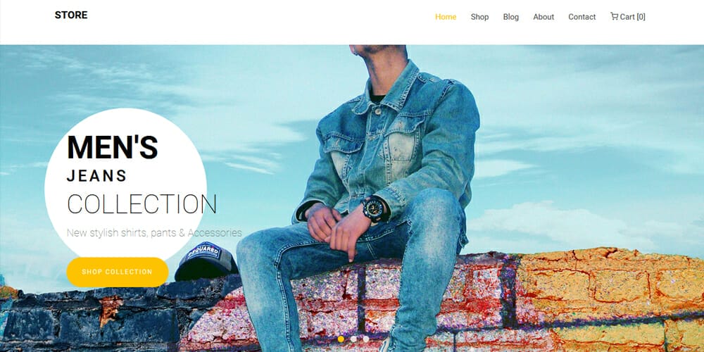 Free eCommerce Bootstrap Templates 34 Store