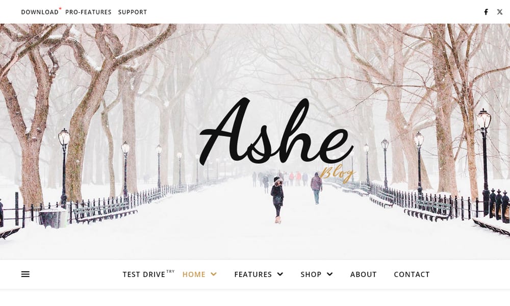 Ashe Blog