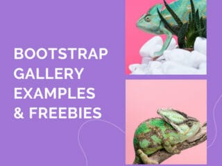 Bootstrap 5 Gallery Examples and Freebies