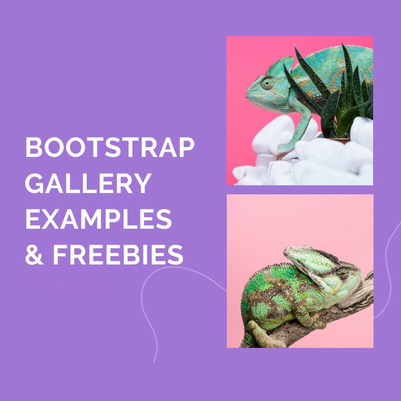 Bootstrap 5 Gallery Examples & Freebies