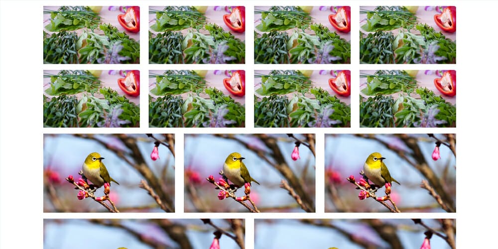 Bootstrap 5 Gallery Examples & Freebies 8 Bootstrap 5 Responsive Image Gallery