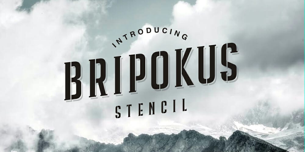 Bripokus