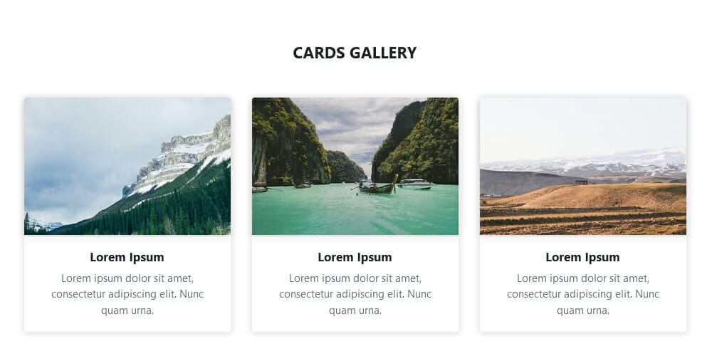 Bootstrap 5 Gallery Examples & Freebies 19 Cards Gallery