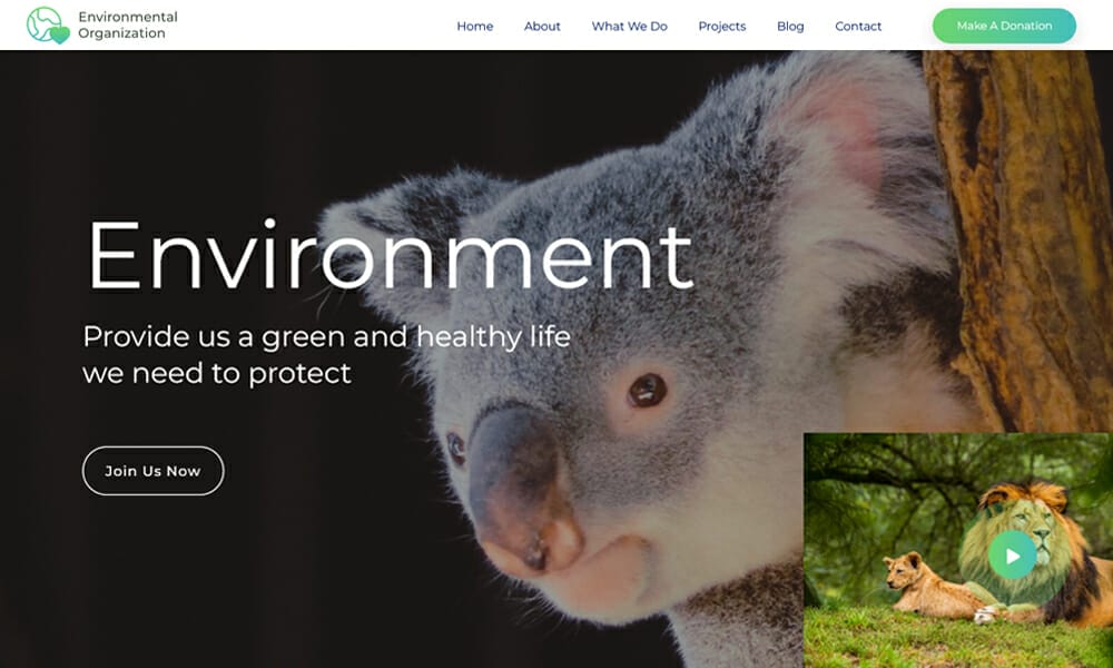 Environmental Organization
