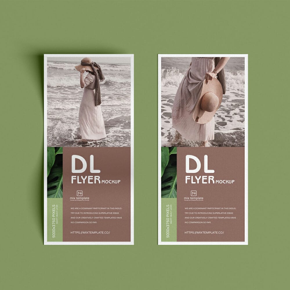 Free Dl Flyer Mockup Template