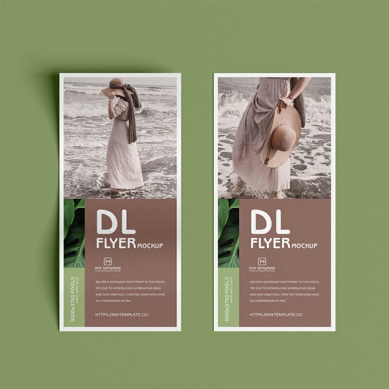 Free Dl Flyer Mockup Template