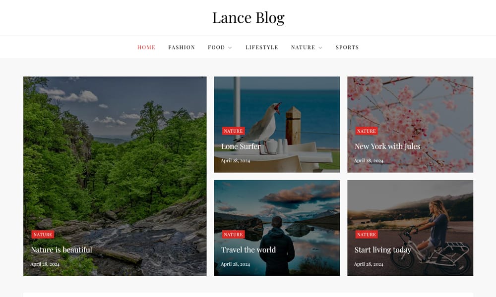 Lance Blog