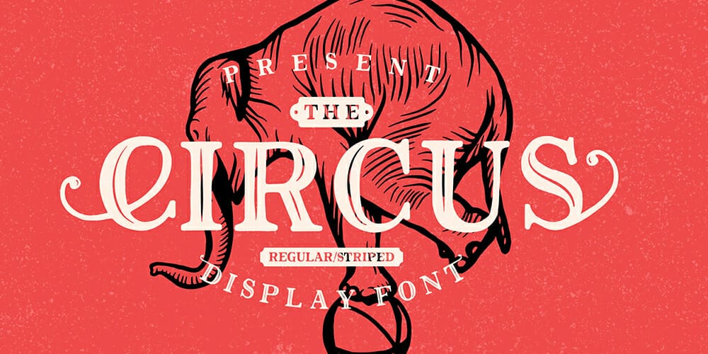 The Circus Display Font