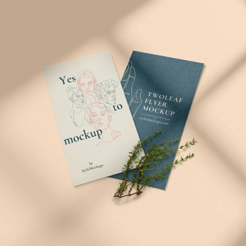 Twoleaf Flyer Mockup Free PSD
