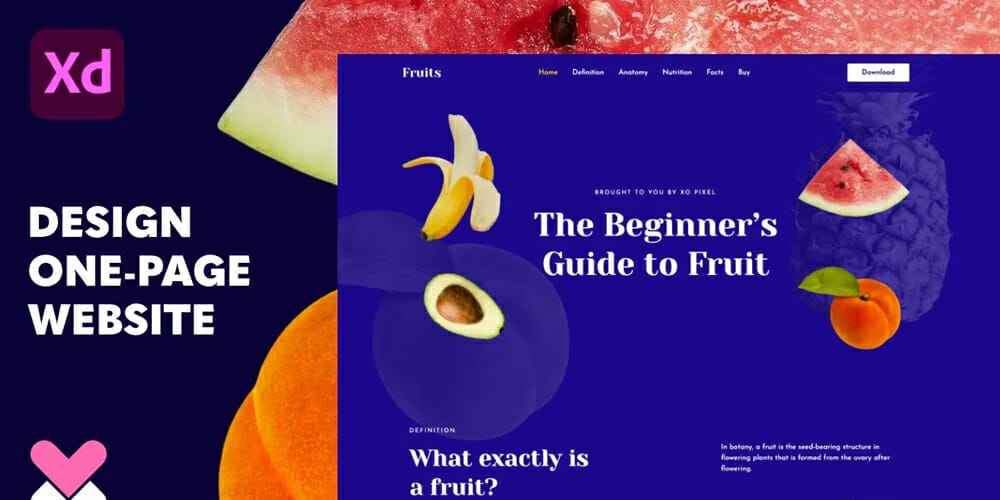 One Page Fruit Themed Website in Adobe XD