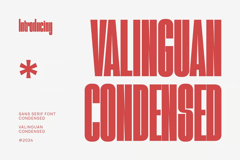 Valinguan-Condensed