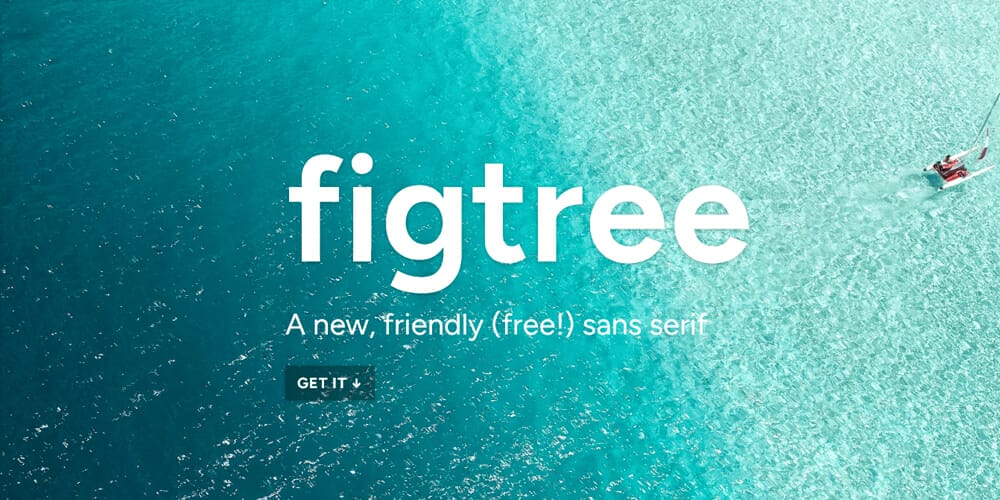 Figtree