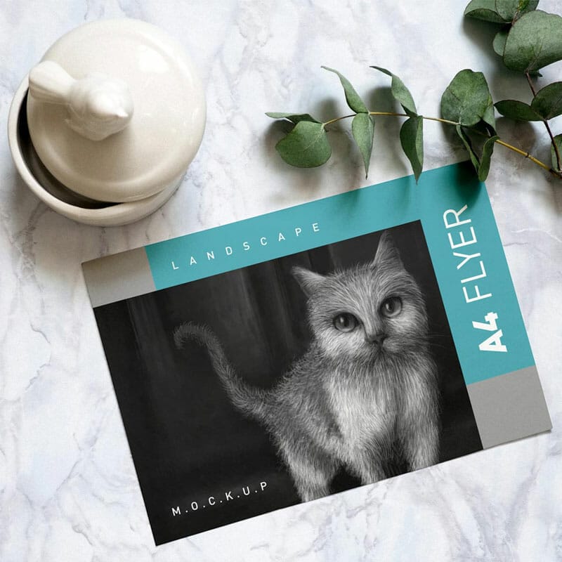 Free A4 Landscape Flyer Mockup PSD