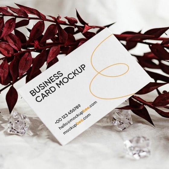 Free Business Card With Leaf Mockup
