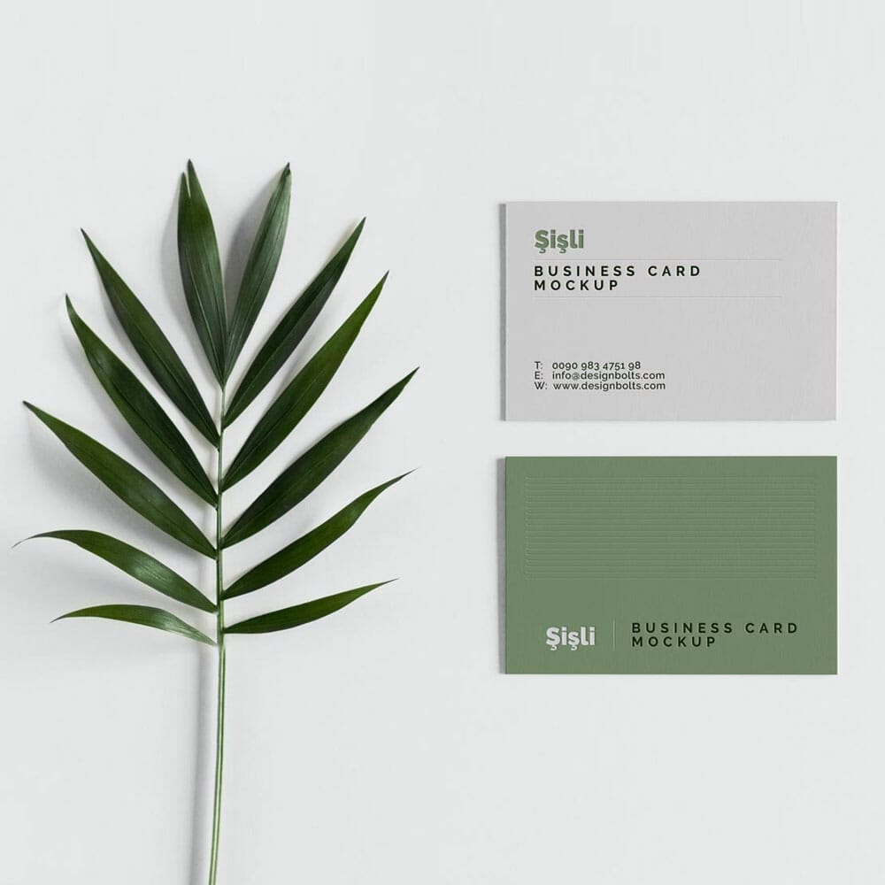 Free Minimalistic Business Card Mockup PSD